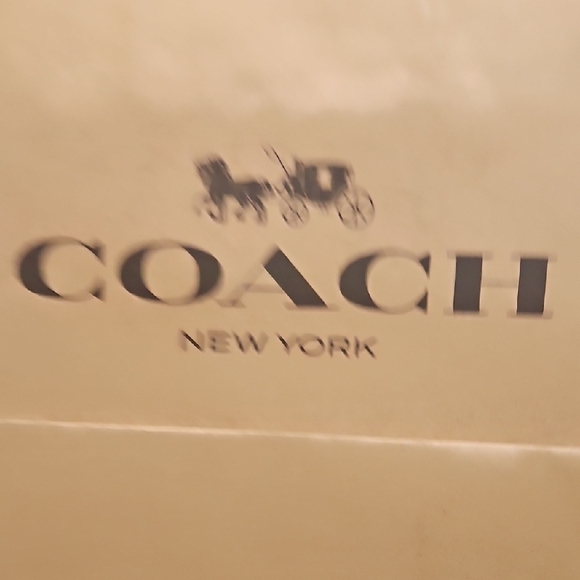 "Reusable paper bag ideal for gifts." - Picture 3 of 7